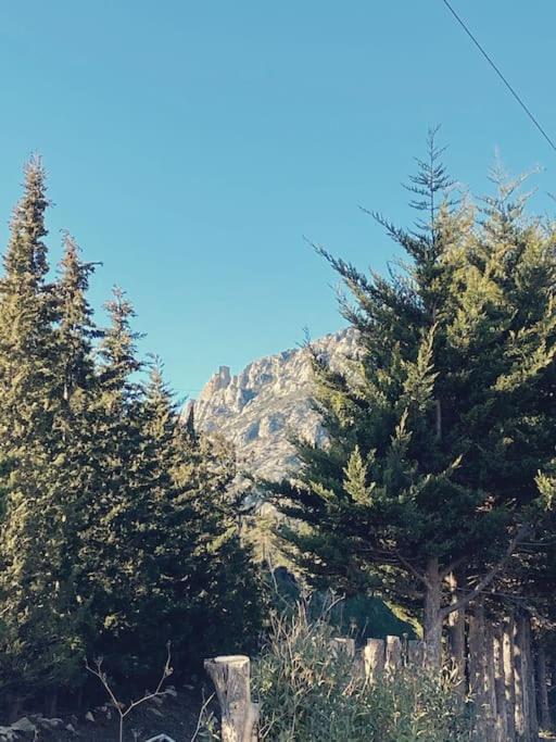 Maison De Campagne Dans Un Domaine Viticole Tautavel Exteriér fotografie
