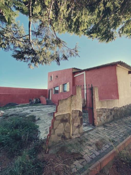 Maison De Campagne Dans Un Domaine Viticole Tautavel Exteriér fotografie